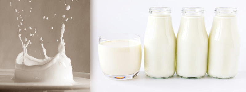 Milch in verschiedenen Formen