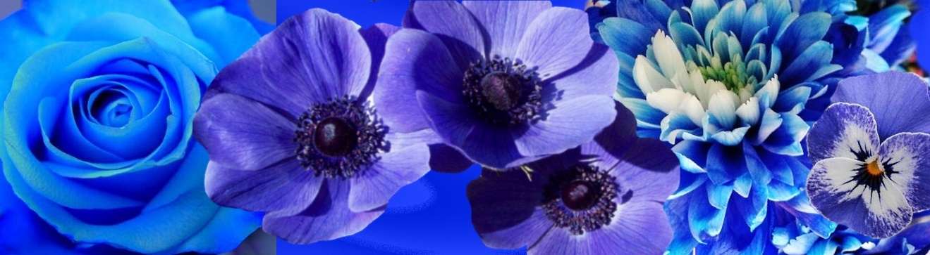 Farbe: Blau