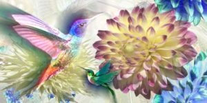 Krafttiert Kolibri