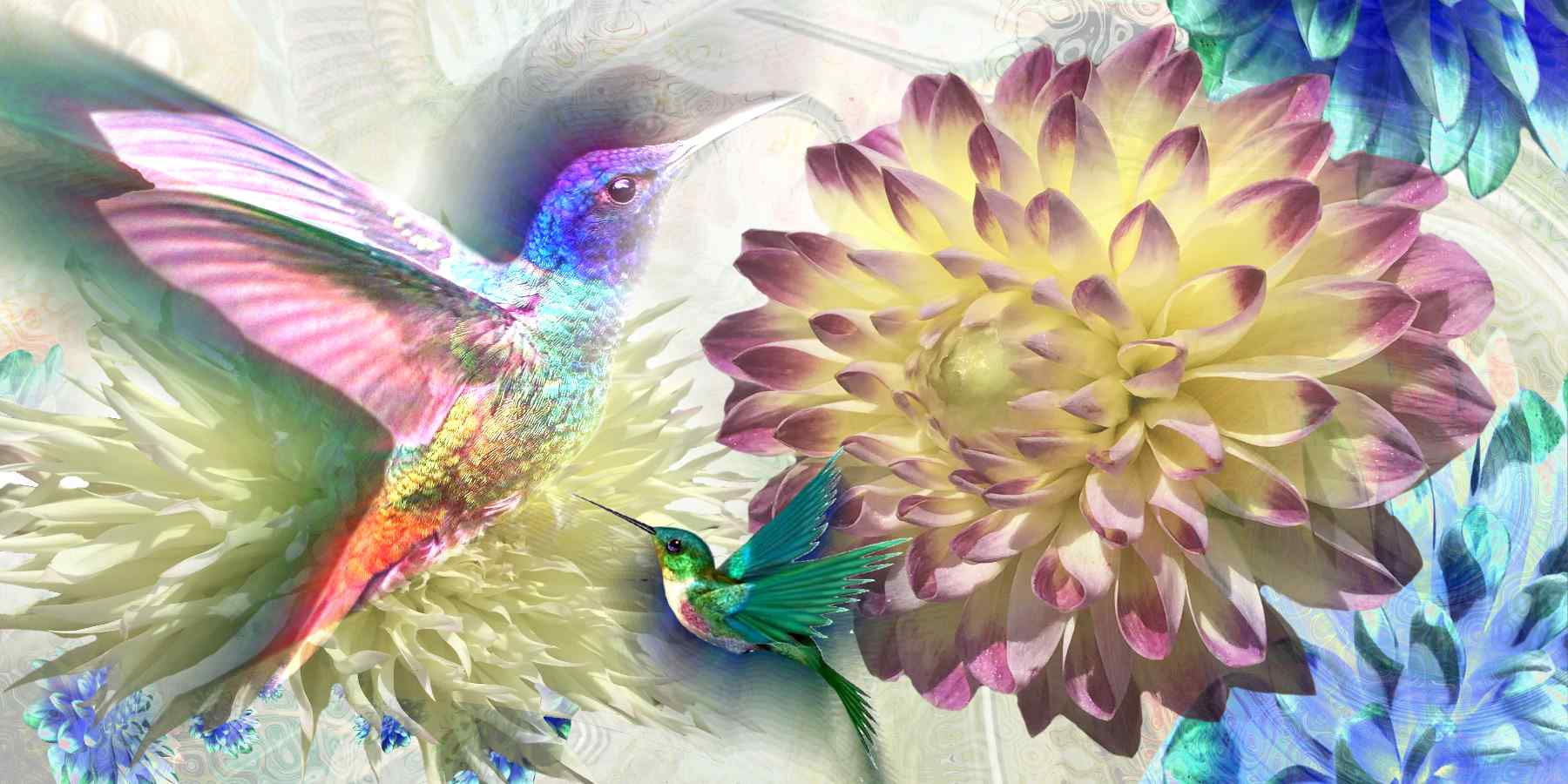 Krafttiert Kolibri