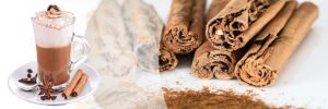 Mehr über den Artikel erfahren Der Zimt (Cinnamomum verum)